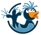Three Eyed Bird Design