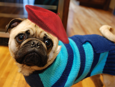 Augie with Hat